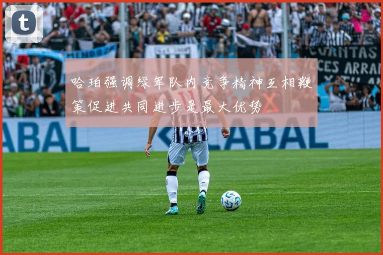 哈珀强调绿军队内竞争精神互相鞭策促进共同进步是最大优势