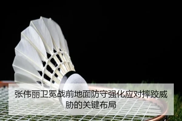 张伟丽卫冕战前地面防守强化应对摔跤威胁的关键布局