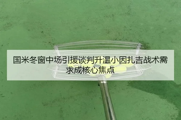 国米冬窗中场引援谈判升温小因扎吉战术需求成核心焦点