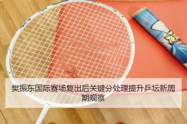 樊振东国际赛场复出后关键分处理提升乒坛新周期观察